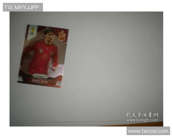 收藏足球帕尼尼世界杯球星卡的魅力与价值揭秘
