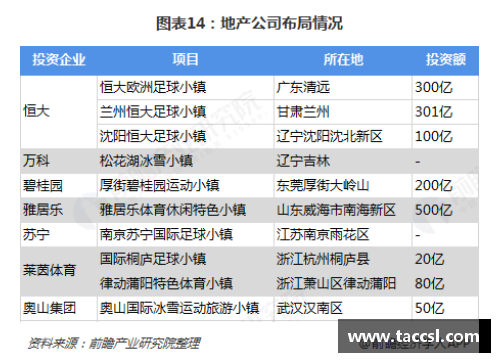 体育明星与其专长项目的全景探秘：顶尖运动员如何定义各自领域