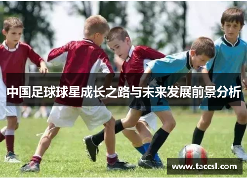 中国足球球星成长之路与未来发展前景分析
